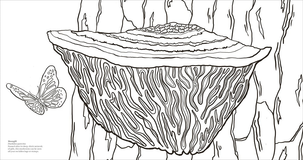 Fascinating Fungi: Over 75 Natural Wonders to Color and Explore