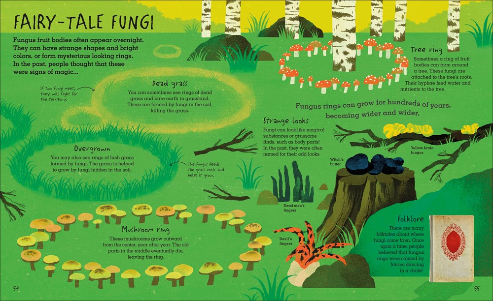 Humongous Fungus (Underground and All Around)