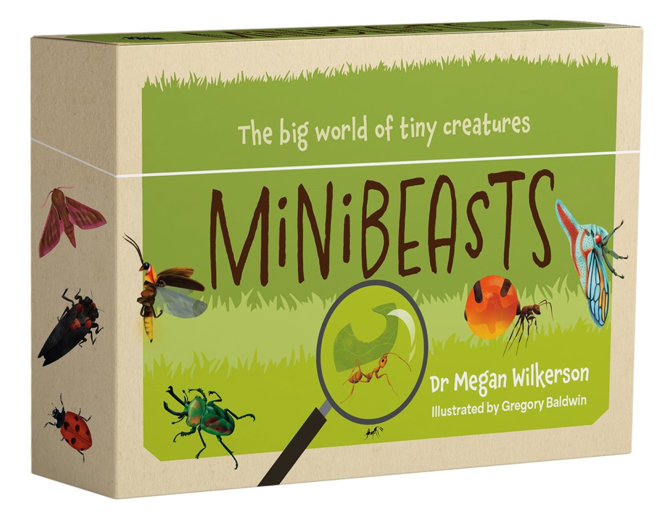 Minibeasts: