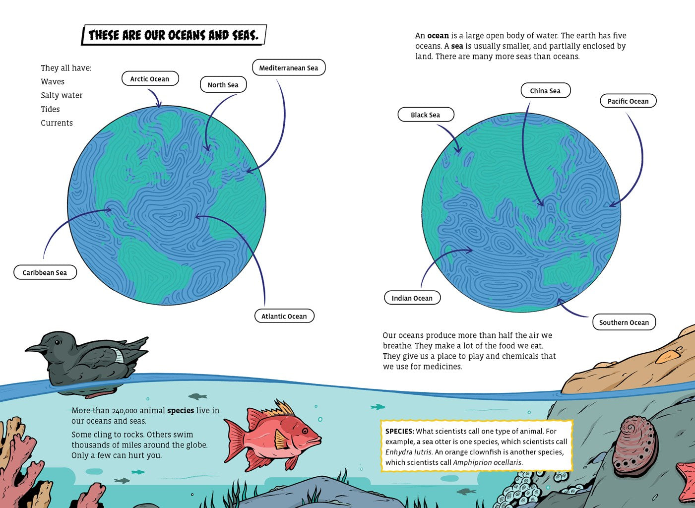 The Deadliest: Sea Creature