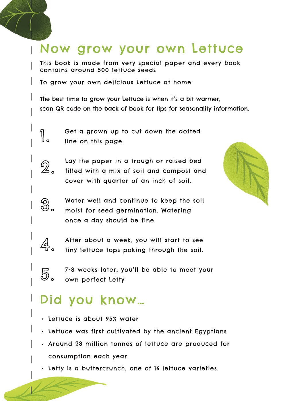 The Lettuce Who Wanted a New Look: Plantable Childrens Book