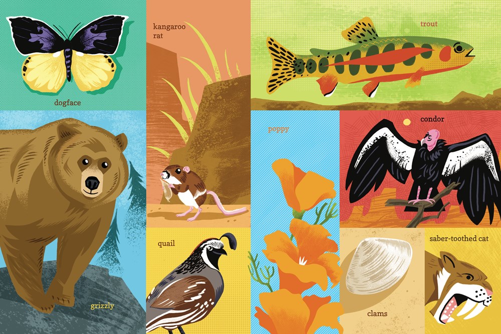 Cover of the book '100 First Words for Little Californians' featuring colorful illustrations of California-themed objects and landmarks, like Golden Gate Bridge, palm trees, and more