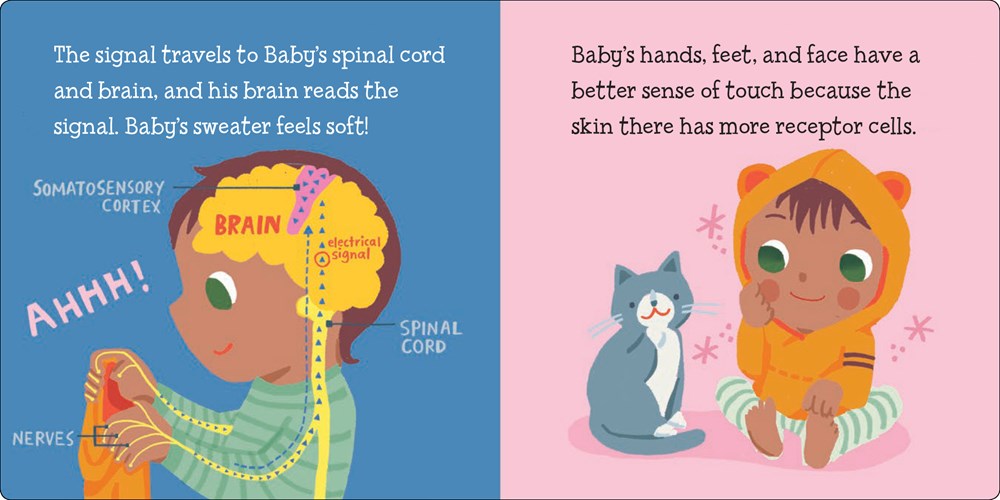 Baby Loves the Five Senses: Touch!