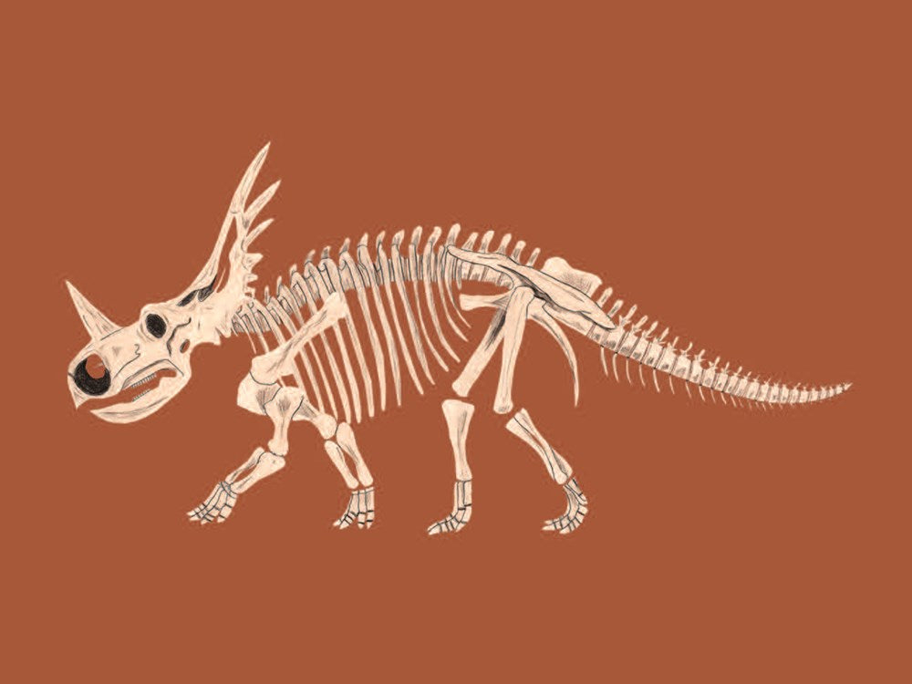 Match These Bones: A Dinosaur Memory Game