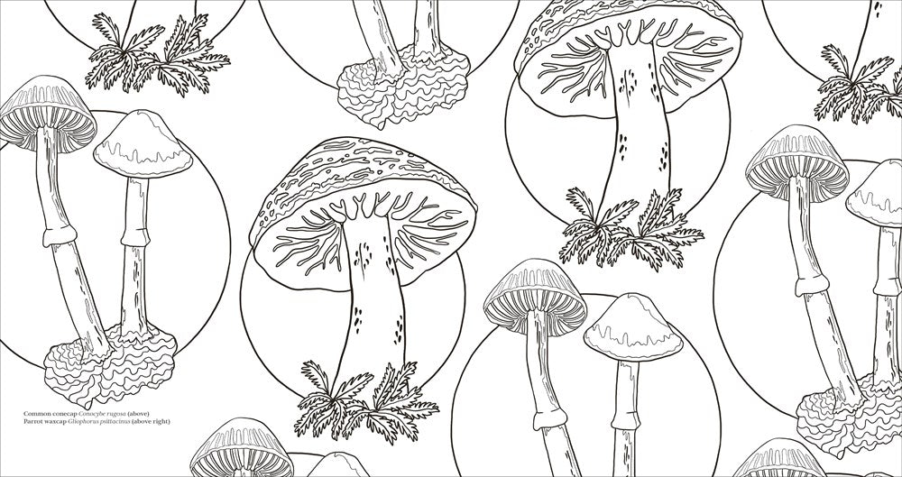 Fascinating Fungi: Over 75 Natural Wonders to Color and Explore
