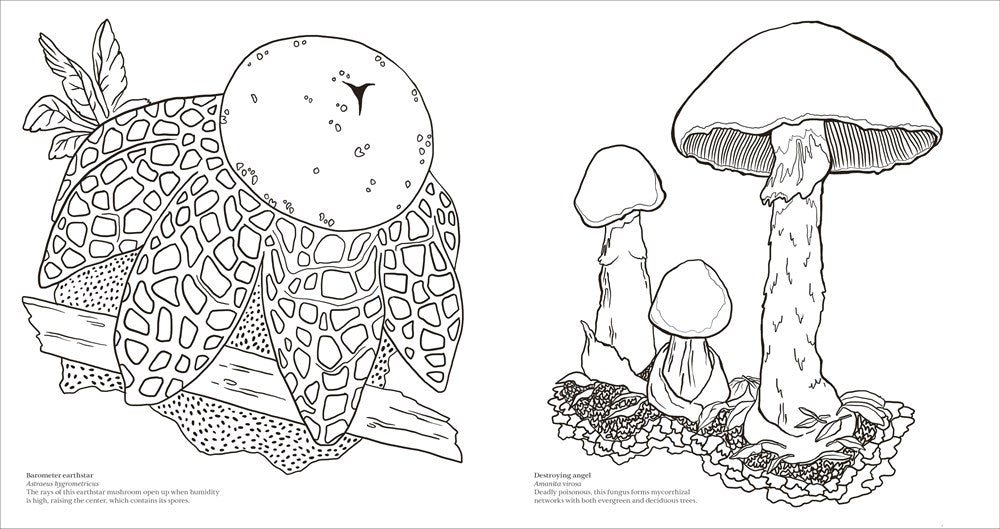 Fascinating Fungi: Over 75 Natural Wonders to Color and Explore