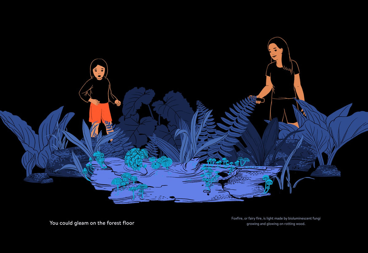 Luminous: Living Things That Light Up the Night