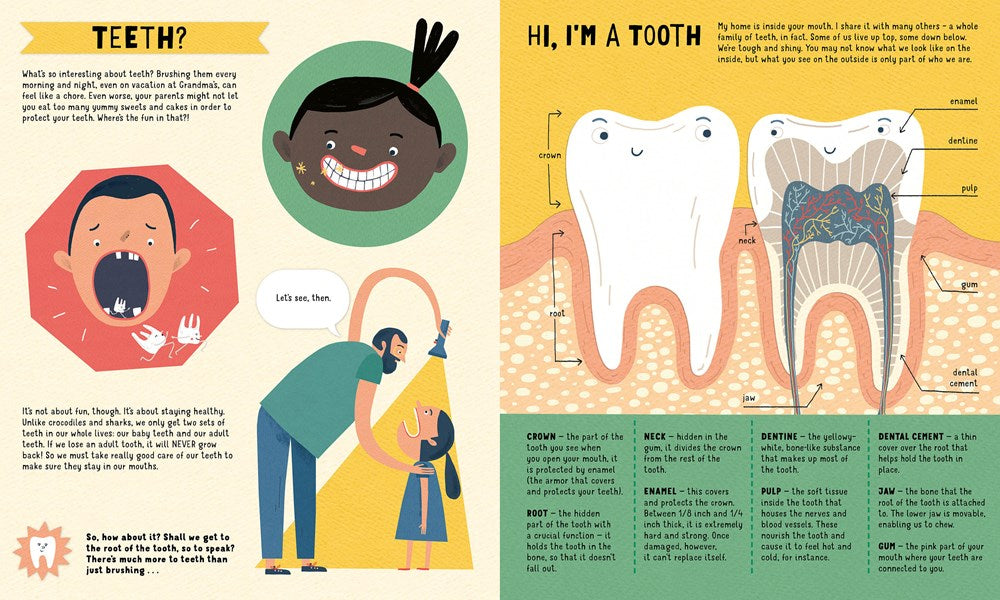 Teeth: You Only Get Two Sets