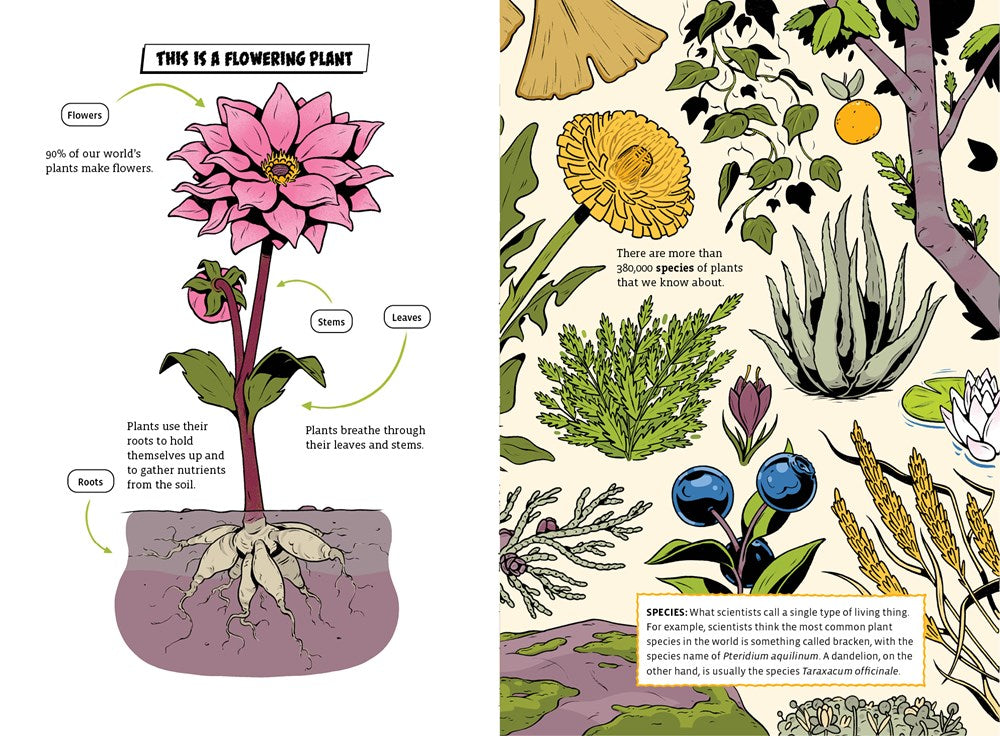 The Deadliest: Flower