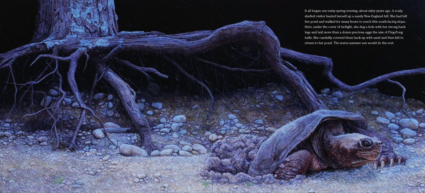 The True and Lucky Life of a Turtle