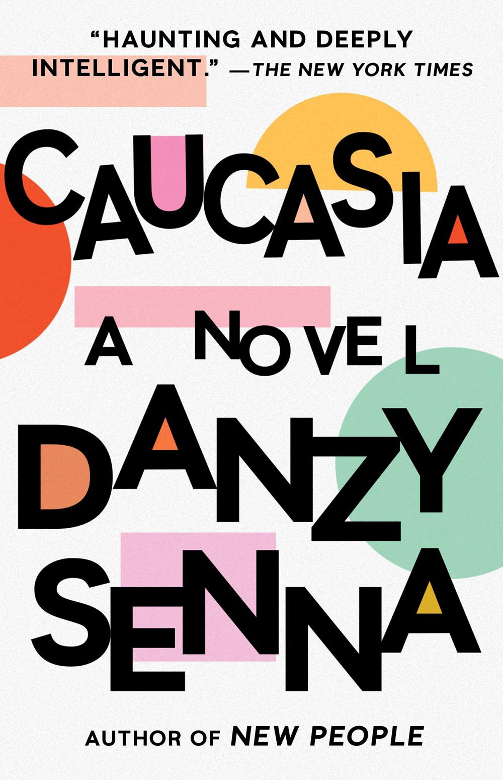 Caucasia : A Novel