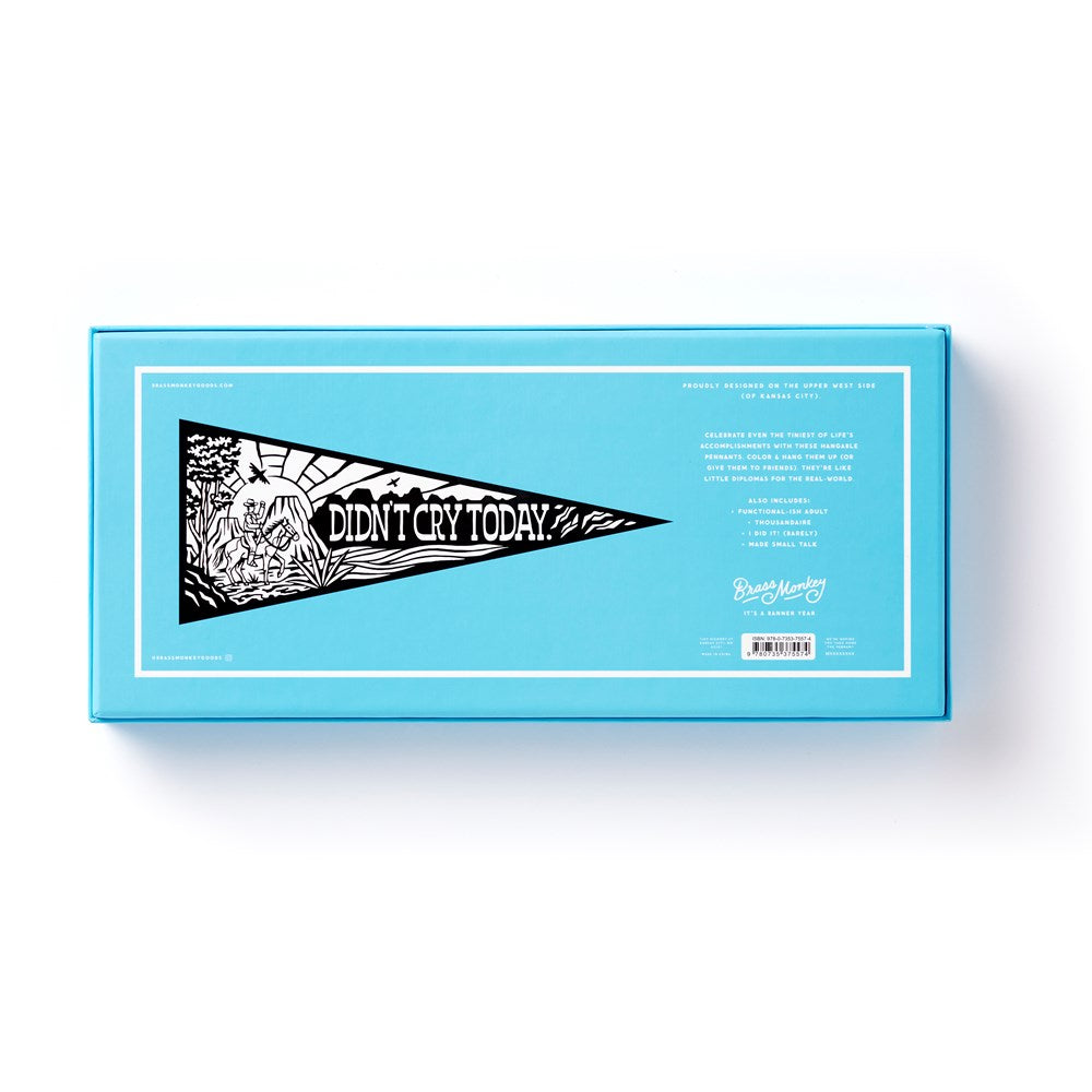 Small Victories Magic Velvet Pennant Coloring Set