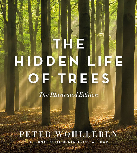 The Hidden Life of Trees : The Illustrated Edition